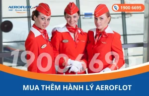 Mua thêm hành lý Aeroflot