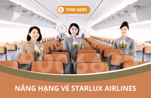 Dịch vụ nâng hạng vé hãng STARLUX Airlines